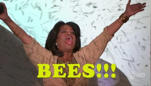 oprah-everybody-gets-bees.jpg