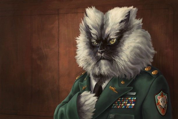 Colonel Meow smaller.jpg