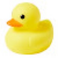 Duckyboi61