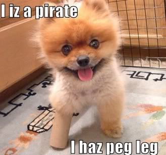 Peg-leg-puppy-random-7503700-329-306.jpg