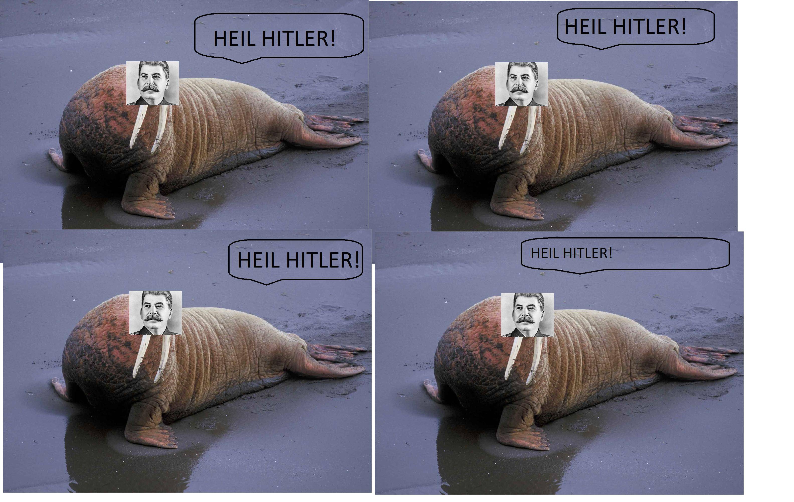 RRCDQ1R.jpg