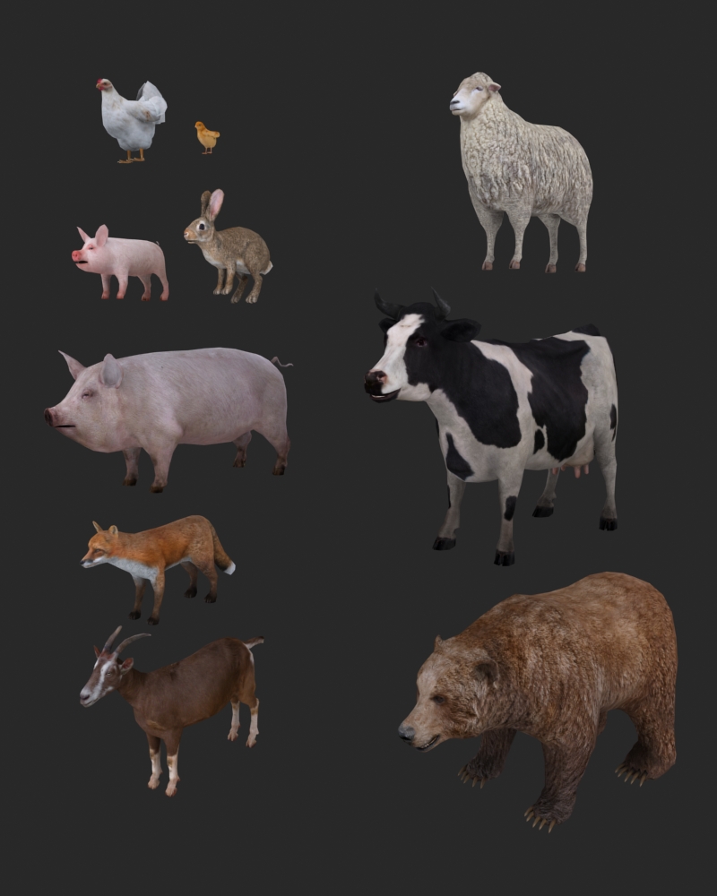 animal-shot.jpg