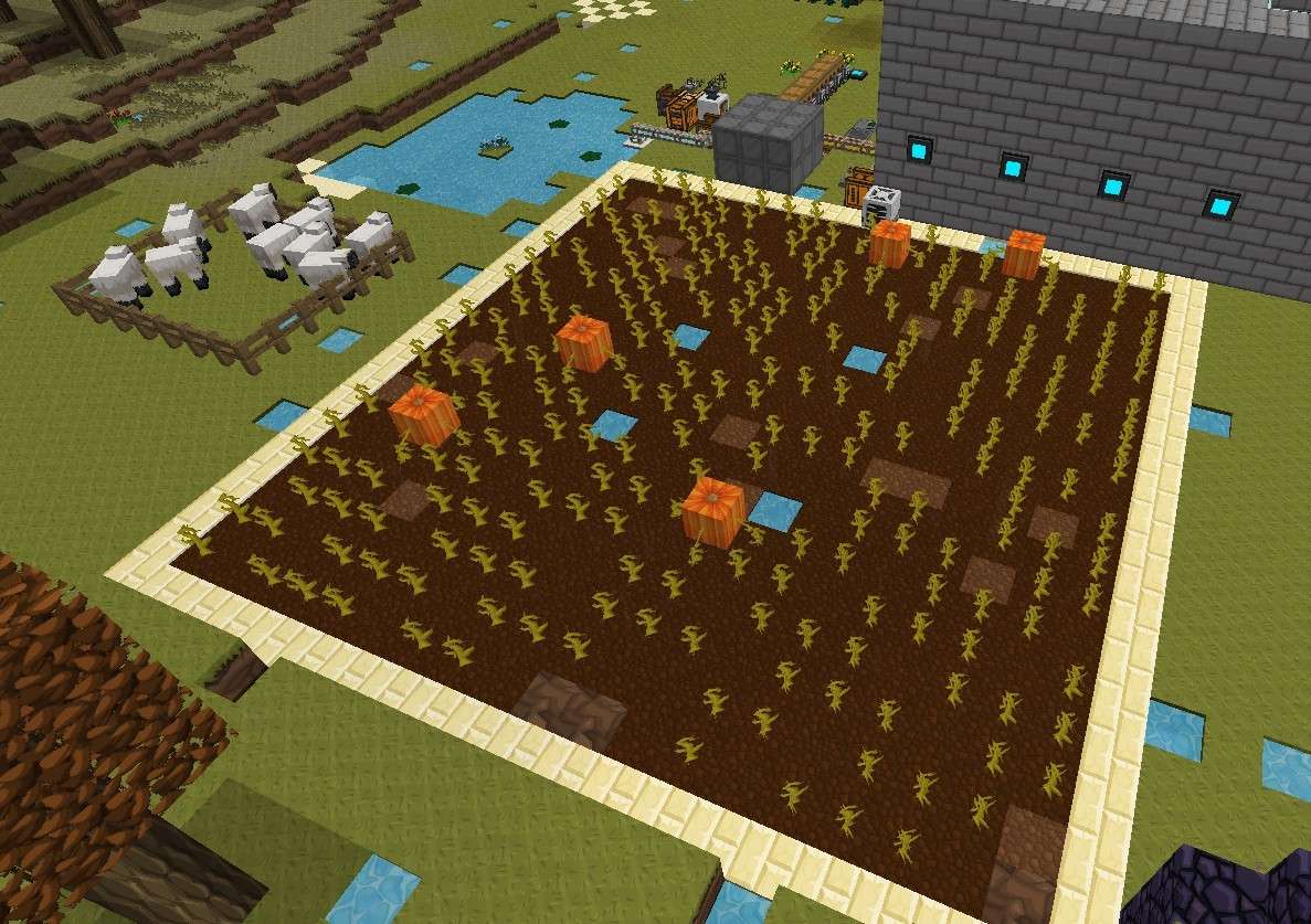pumpki10.jpg