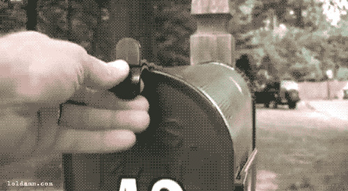 WROf1K8.gif