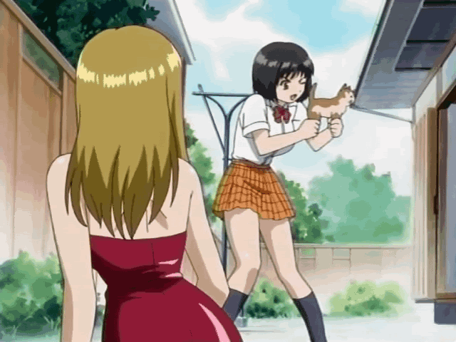 Anime-CatGun.gif
