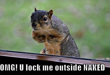 squirrel-locked-outside-naked.jpg