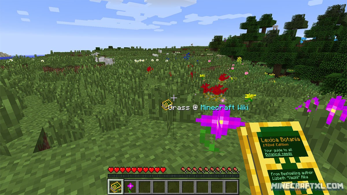 Botania-Mod-1.jpg