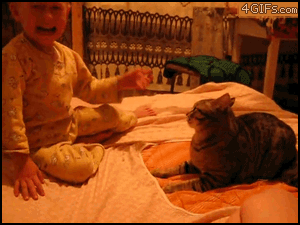 JHVk69V.gif