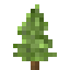 Item_Redwood_Sapling.png