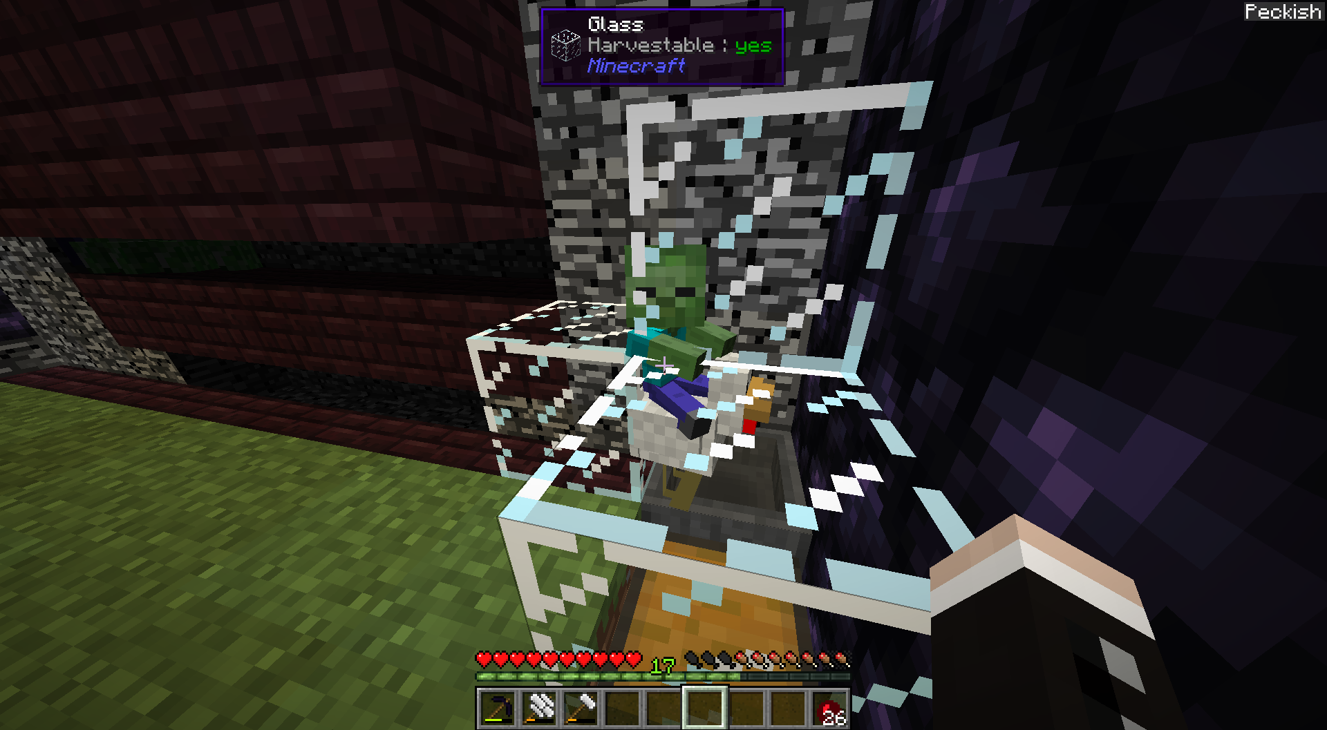 Zombie spawned with full enchanted diamond armor in hardcore