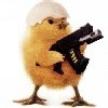 chickenGun-108x108.jpg