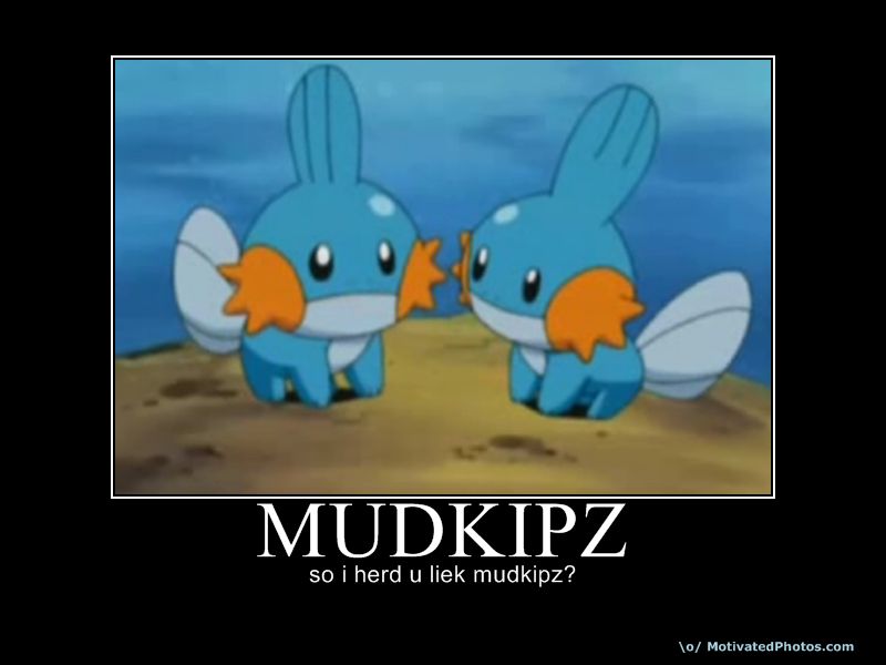 so-i-heard-you-liek-mudkipz.jpg