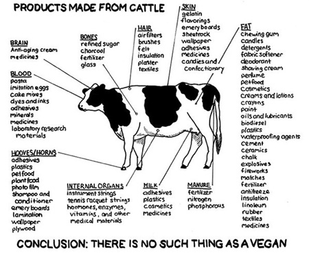 cow_products.jpg