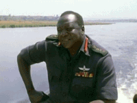 63tsP.gif