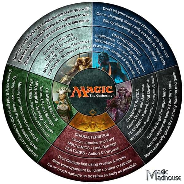 magic-infograph3.jpg