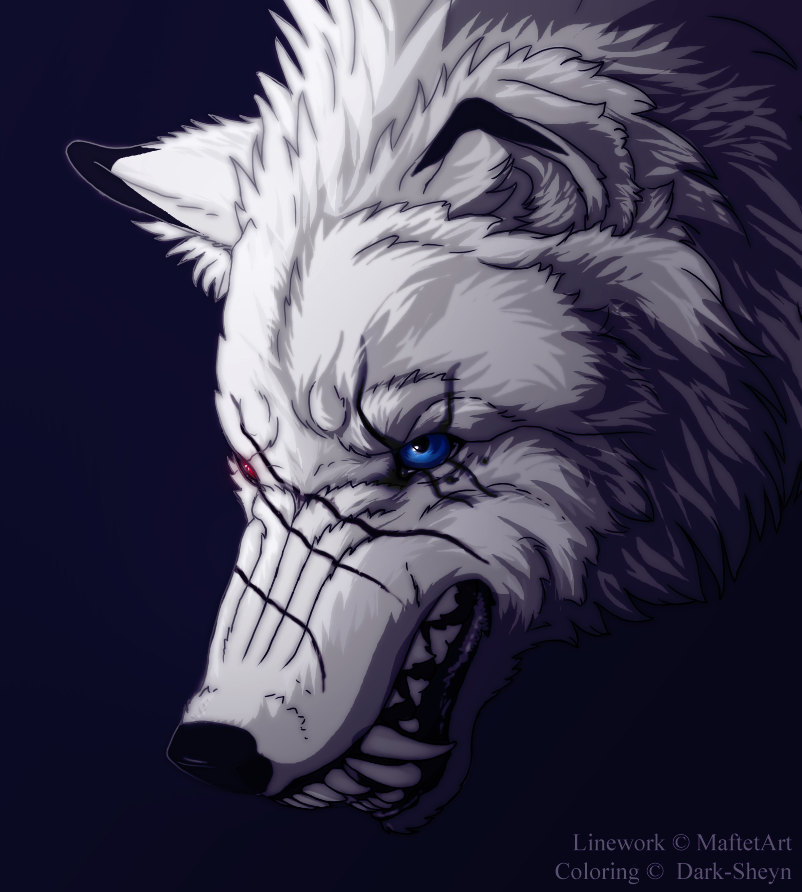 bad_wolf_by_dark_sheyn-d2xgf9s.png