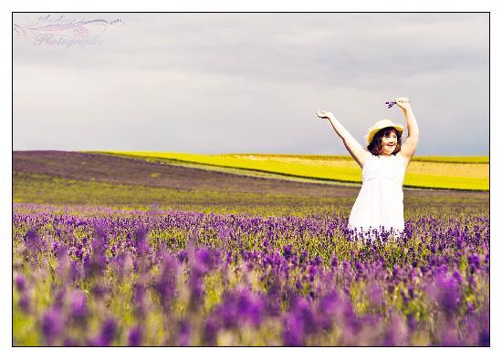 dancing-among-the-flowers.jpg