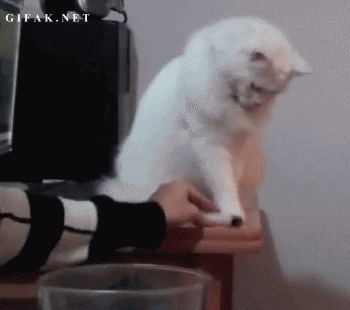 mEfWMul.gif