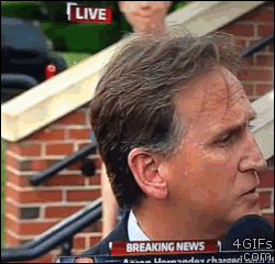 gqqmTf4.gif