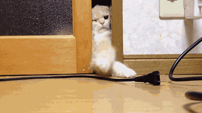 tumblr_mvon5anrGG1rw1wnno1_400.gif