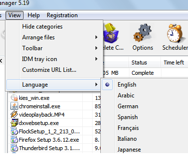 idm_change_language_1.png