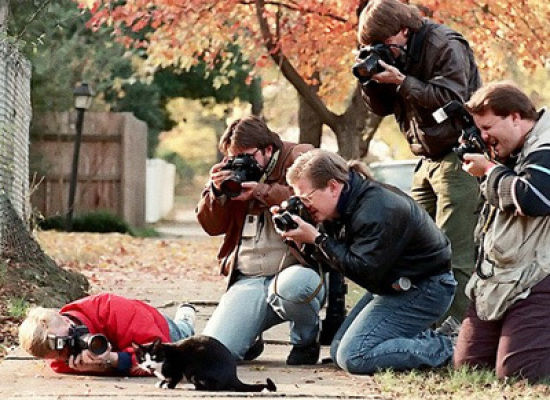 cat-surrounded-by-paparazzi.jpg