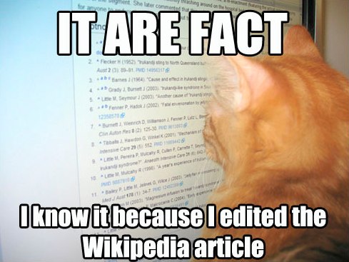 wikipedia-cat.jpg