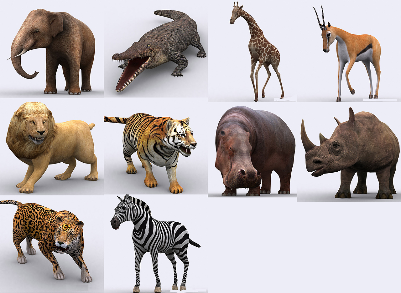 animals_safari.jpg